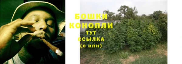 индика Покровск