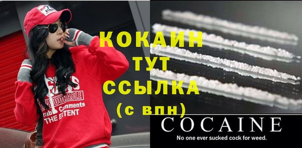 индика Покровск
