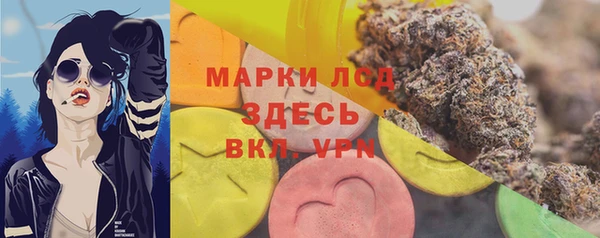 индика Покровск
