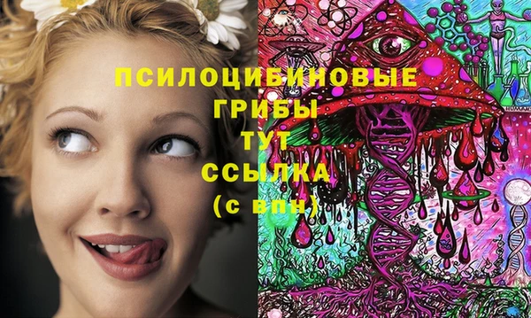 Альфа ПВП Покров