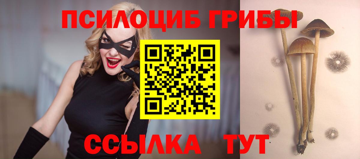 Псилоцибиновые грибы ЛСД  Вход с VPN  Протвино  наркотики  Псилоцибиновые грибы прущие грибы 