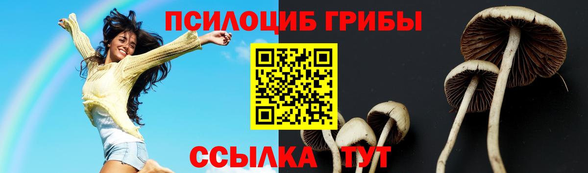 Галлюциногенные грибы Cubensis Протвино